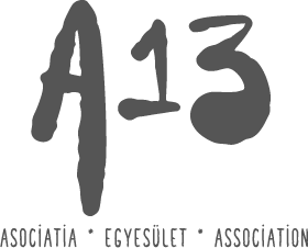 A13.org